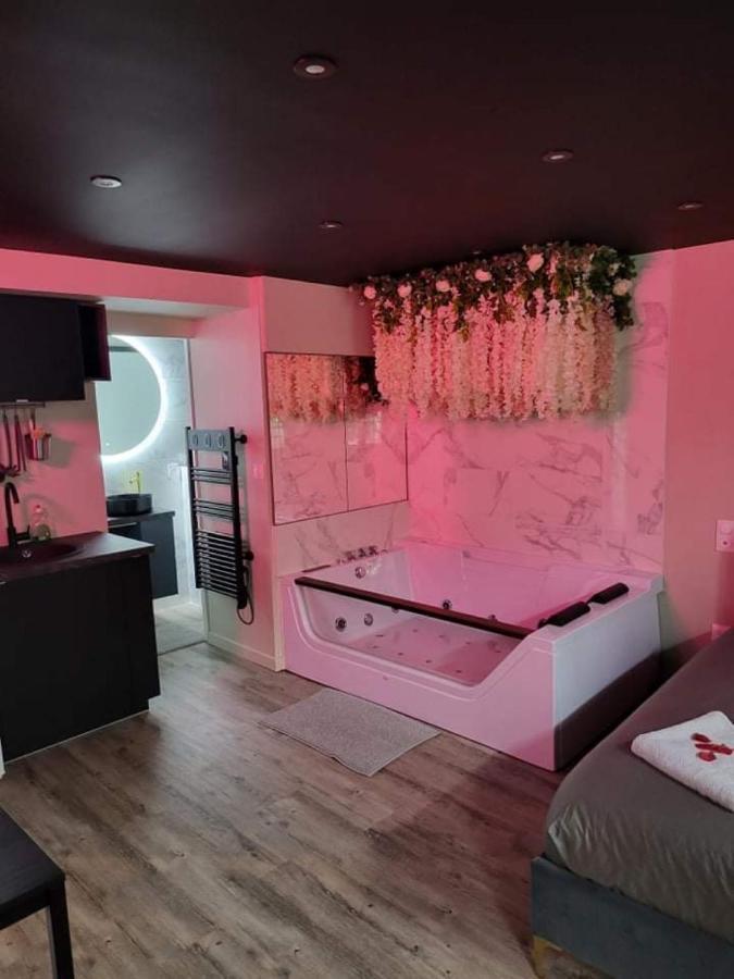 Superbe Avec Balneotherapie/spa/ Champagne Apartment *